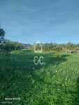 Terreno agrícola arvense com 2,850 Hectares