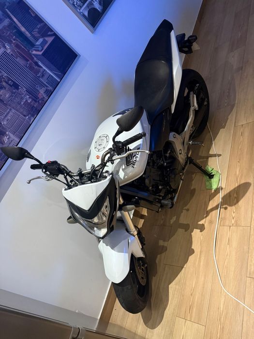 Hornet    CB600F