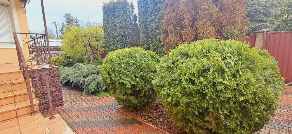 Комфортний 1 затишний будинок. 6 кімнат.