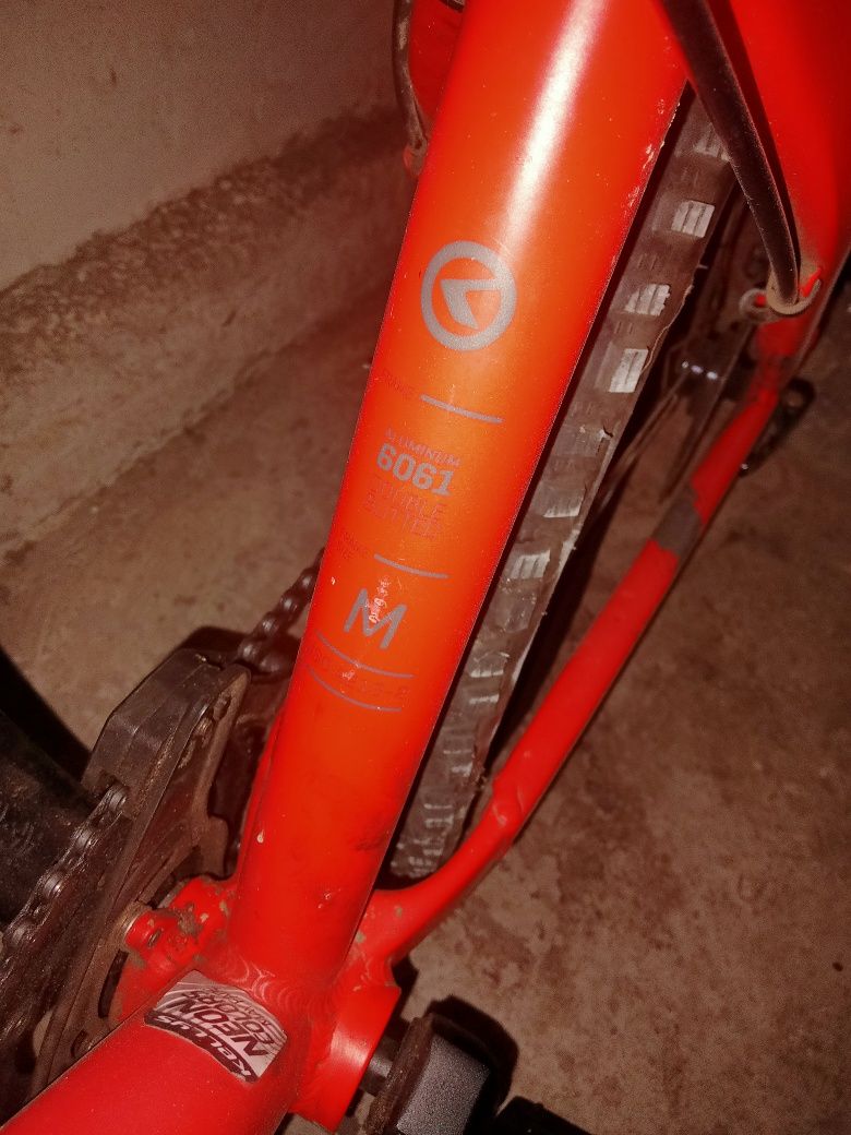 Rower Kellys whip 10