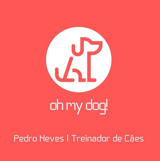 Treino de cães ao domicilio