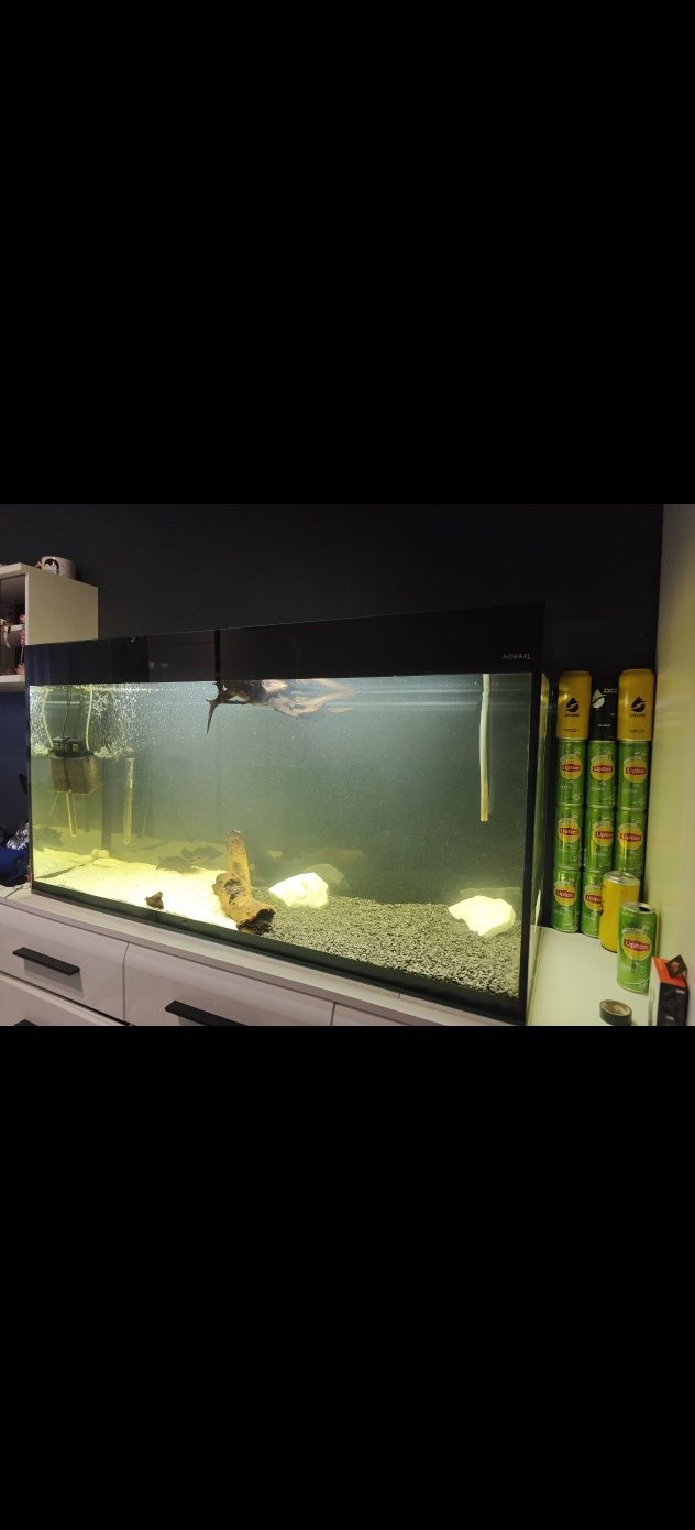 Aquael glossy 260l wraz z osprzętem w