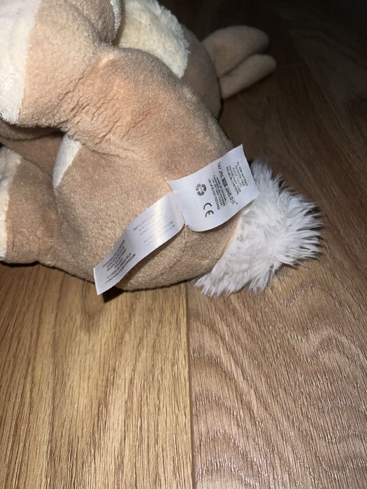 Tuptuś disneyland disney store