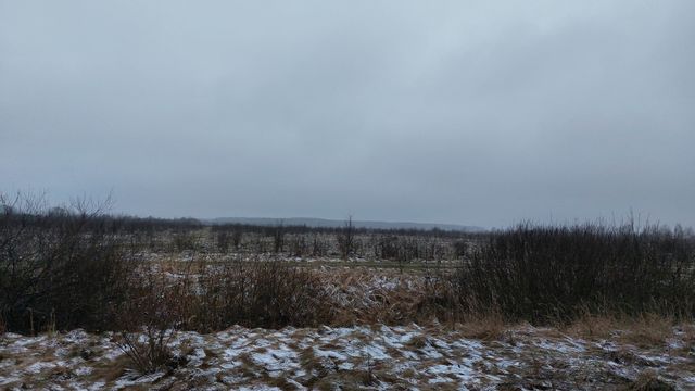 Земельна ділянка в селі Березівка