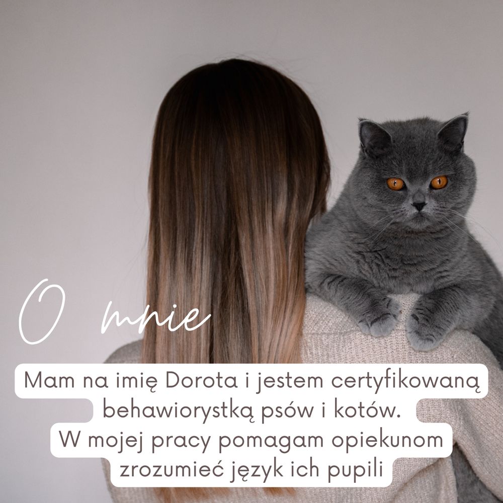 Behawiorysta psów i kotów | psia oraz kocia behawiorystka | Kraków