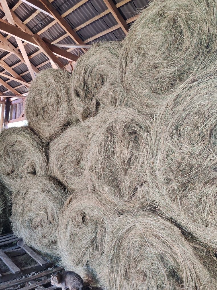 Siano balot 120x120 eko
