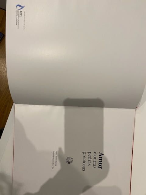 Livro Amor e outras pedras preciosas