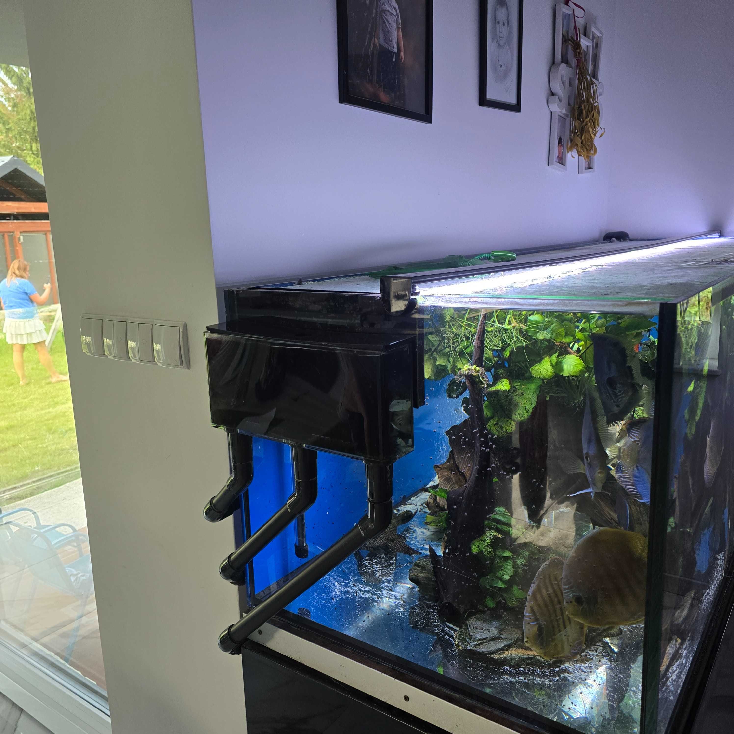 Akwarium 600 L z sumpem