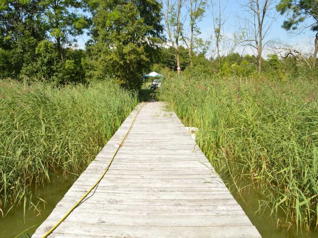 Działka z linią brzegową Mazury