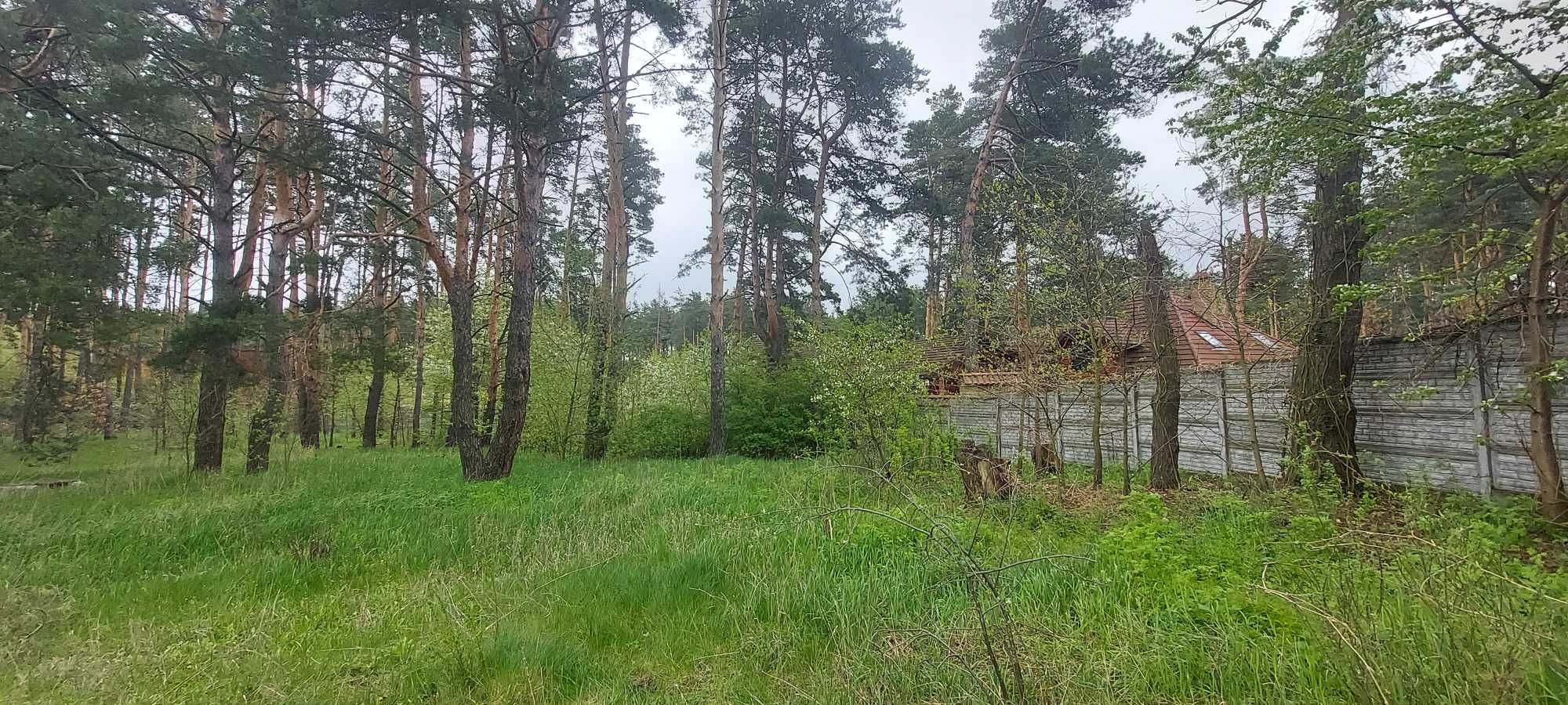 Продається З.Д.з будинком із шматочком власного соснового лісу