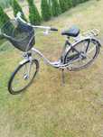 Rower damka Sparta rh+