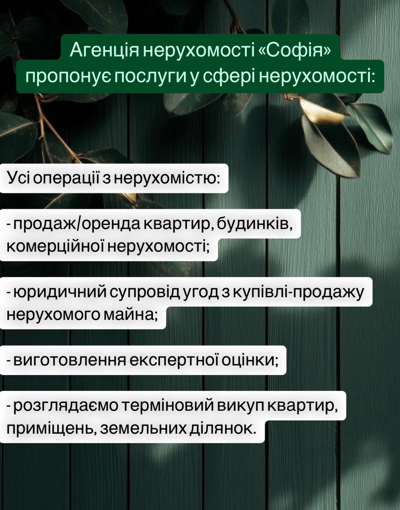 Послуги ріелтора, Київ та Київська область
