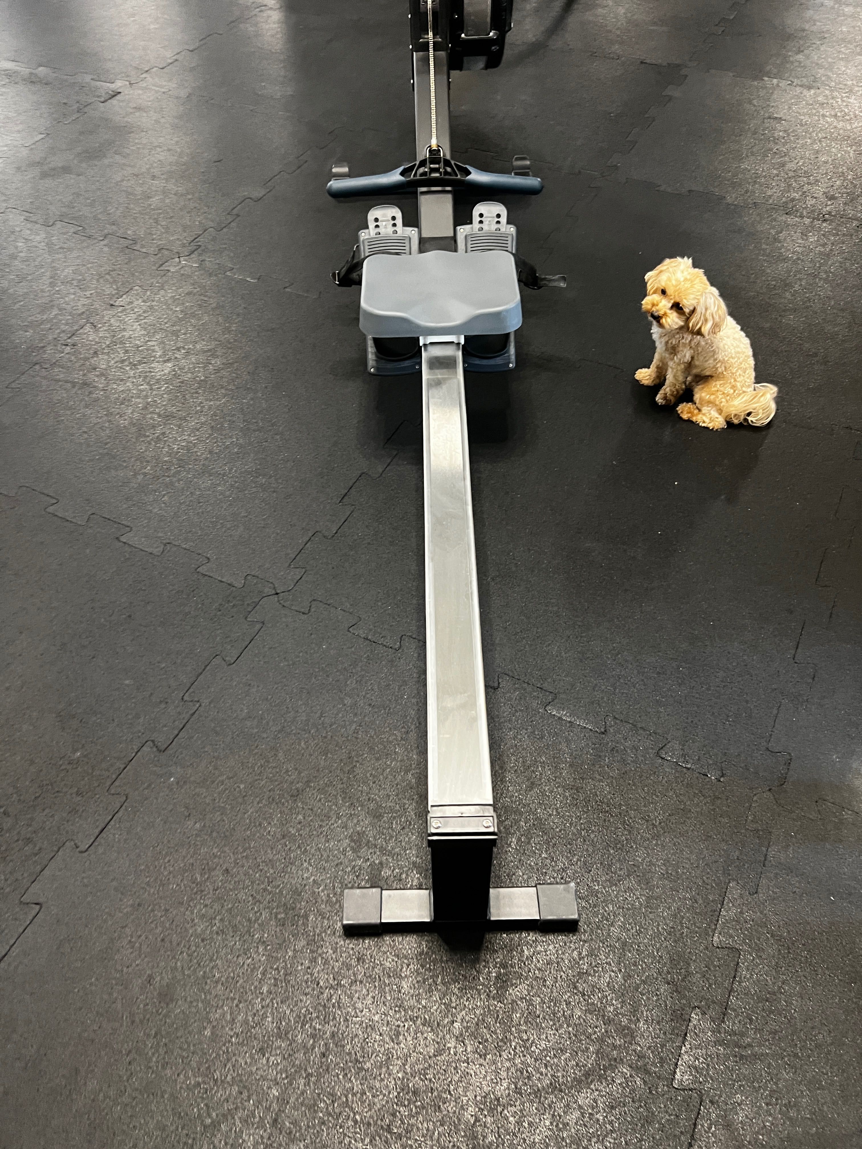 Ergometr Wioślarski Concept2, RowErg PM5