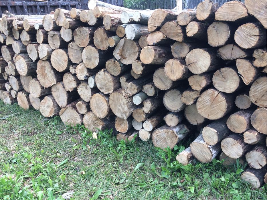 Продам дрова сосна береза вільха осика дуб