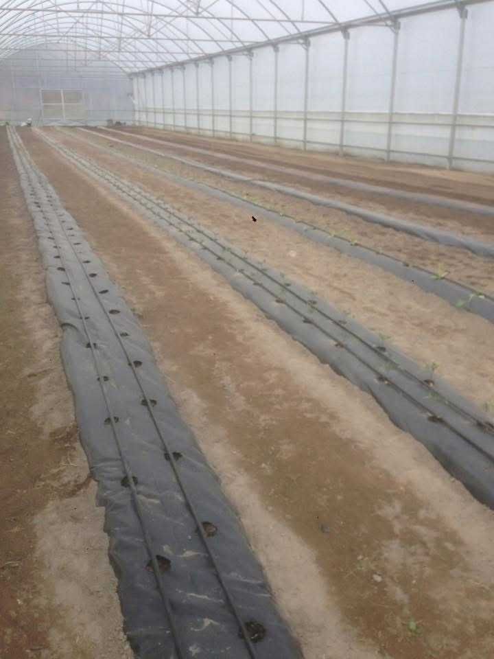 Estufas agrícolas FERTRI