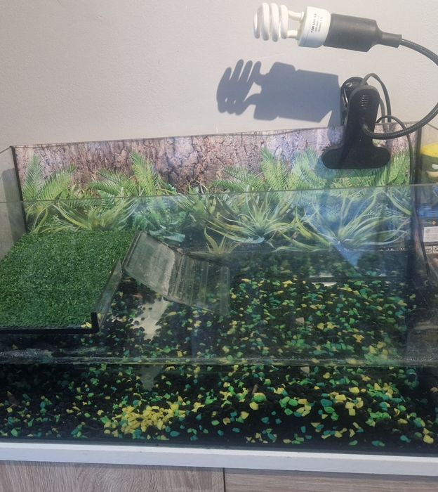 Akwarium z wyposażeniem dla żółwia