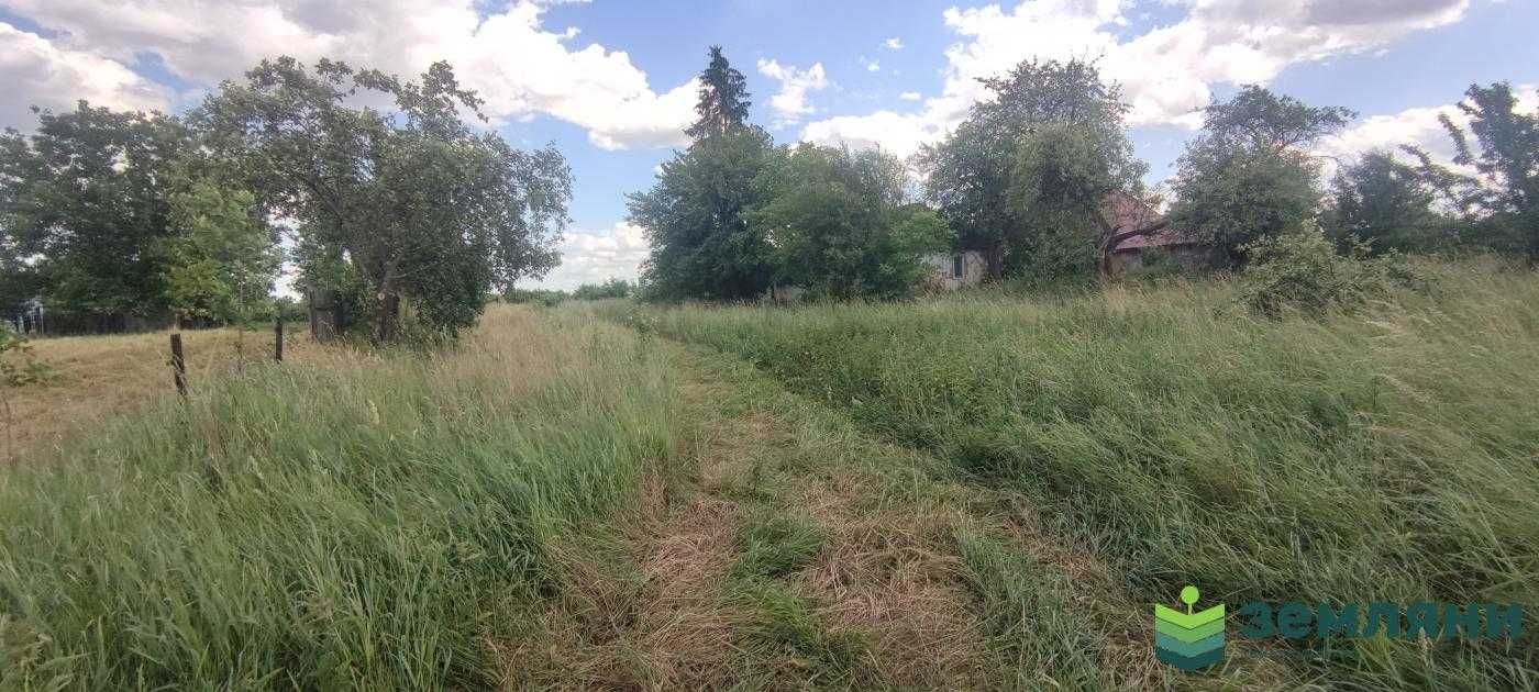 Продається будинок 47 м2 із ділянкою 43 сот у с. Липівка