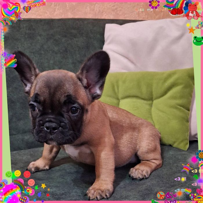 Чарівні  малятка