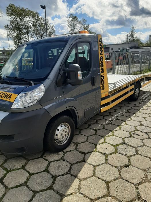 Wynajem busów wypożyczalnia busów
