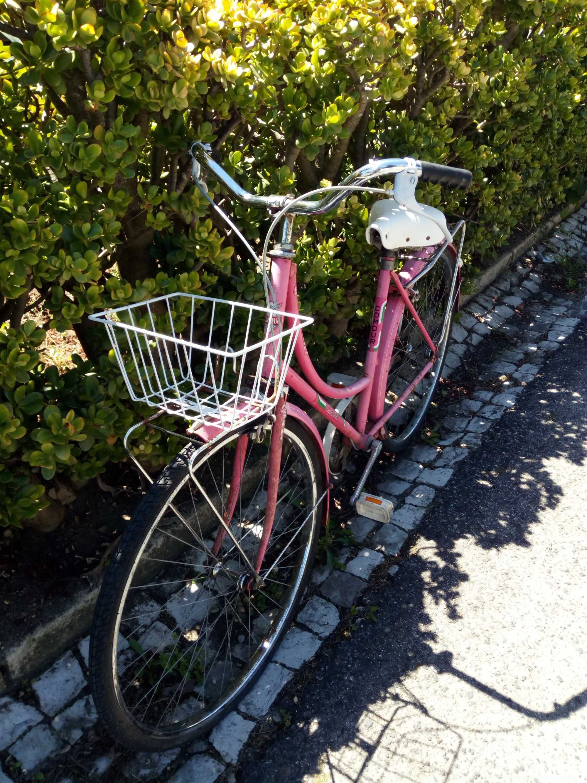 Bicicleta pasteleira senhora