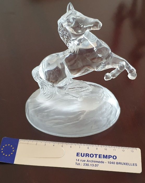 Cavalo Cristal d'Arques - France