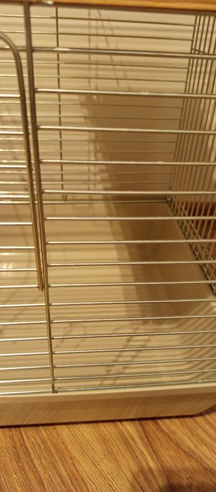 Chomik syryjski (młoda) razem z klatką