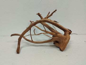 Korzeń japoński driftwood Amano