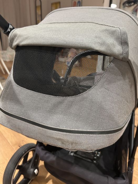 Cybex Gazelle S wozek podwojny