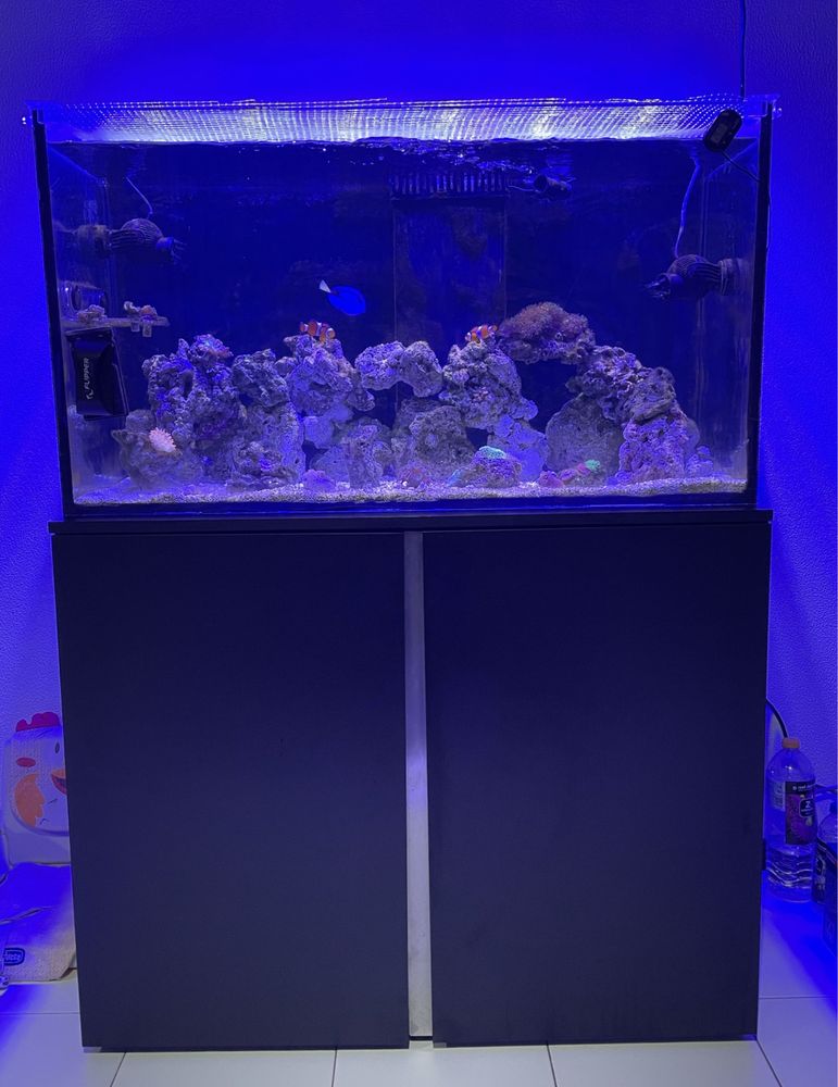 Aquario agua salgada + sump + tubagens + mó