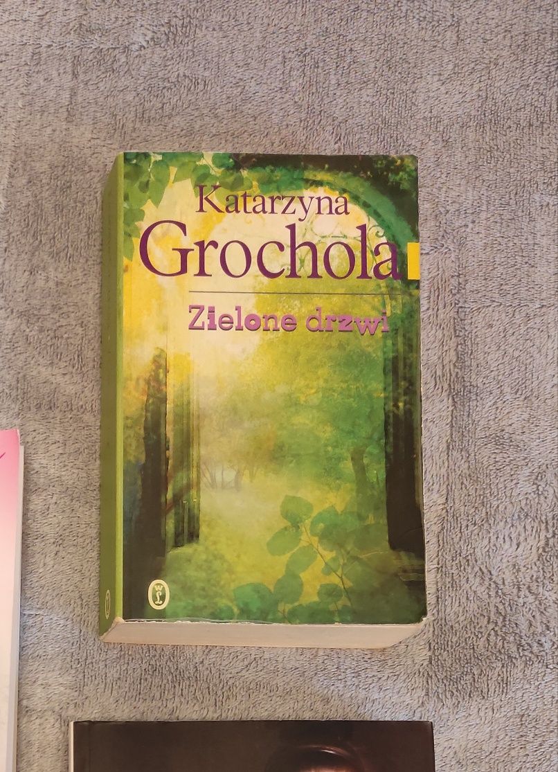 Książka Katarzyna Grochola zielone drzwi