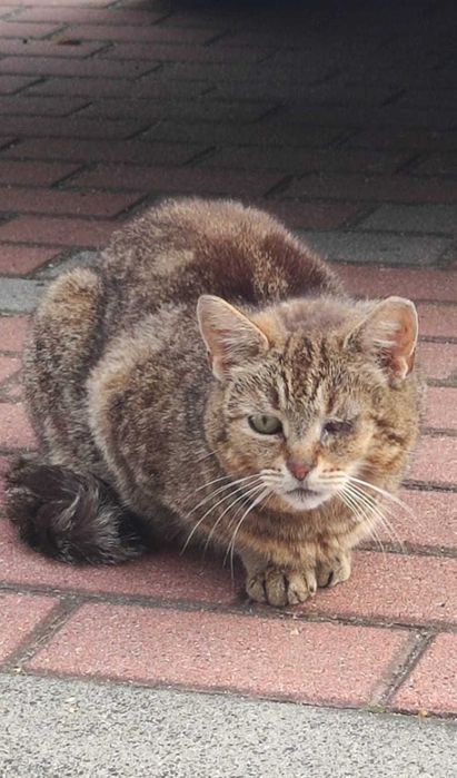 BASIA całe życie nikogo nie obchodziła