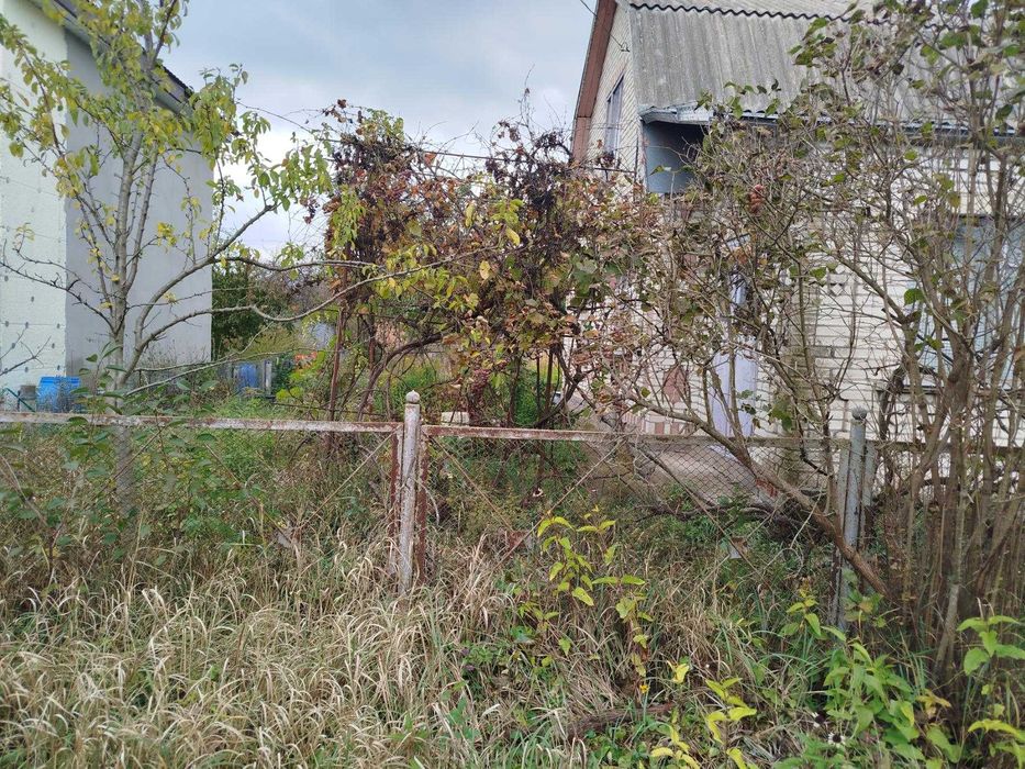 (8) Продам дачний будинок в с. Сальник 8614