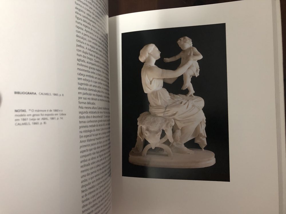 As Belas-Artes do Romantismo em Portugal