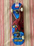 Skate Completo Tony Hawk