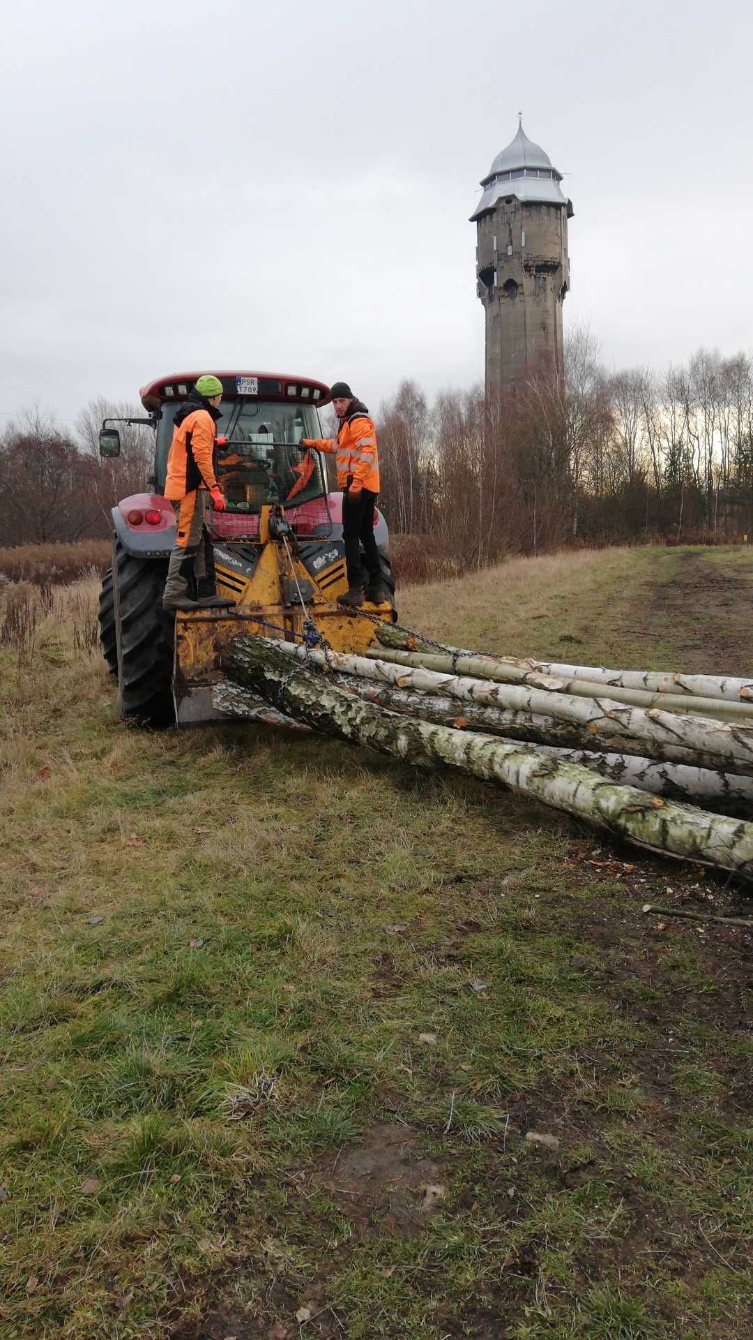 REKULTYWACJA Czyszczenie działki MULCZER LEŚNY wycinka drzew