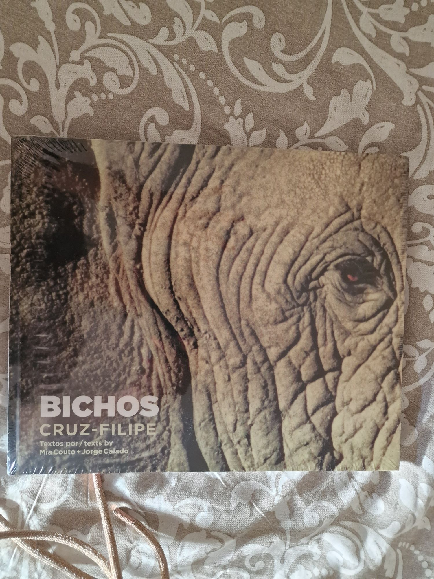 Bichos Cruz-Filipe SELADO