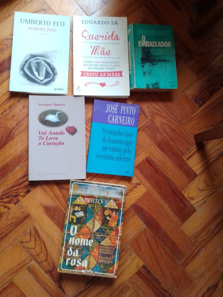 Saldos  Saramago/Ensino/educação /Inovação/Ficçao e outros Desde 3E.