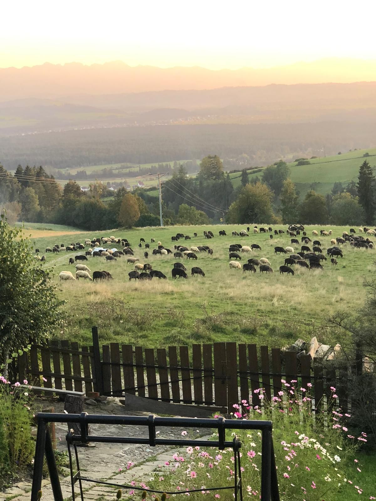 Domek do wynajęcia w Gorcach z balią , widokiem na Tatry.