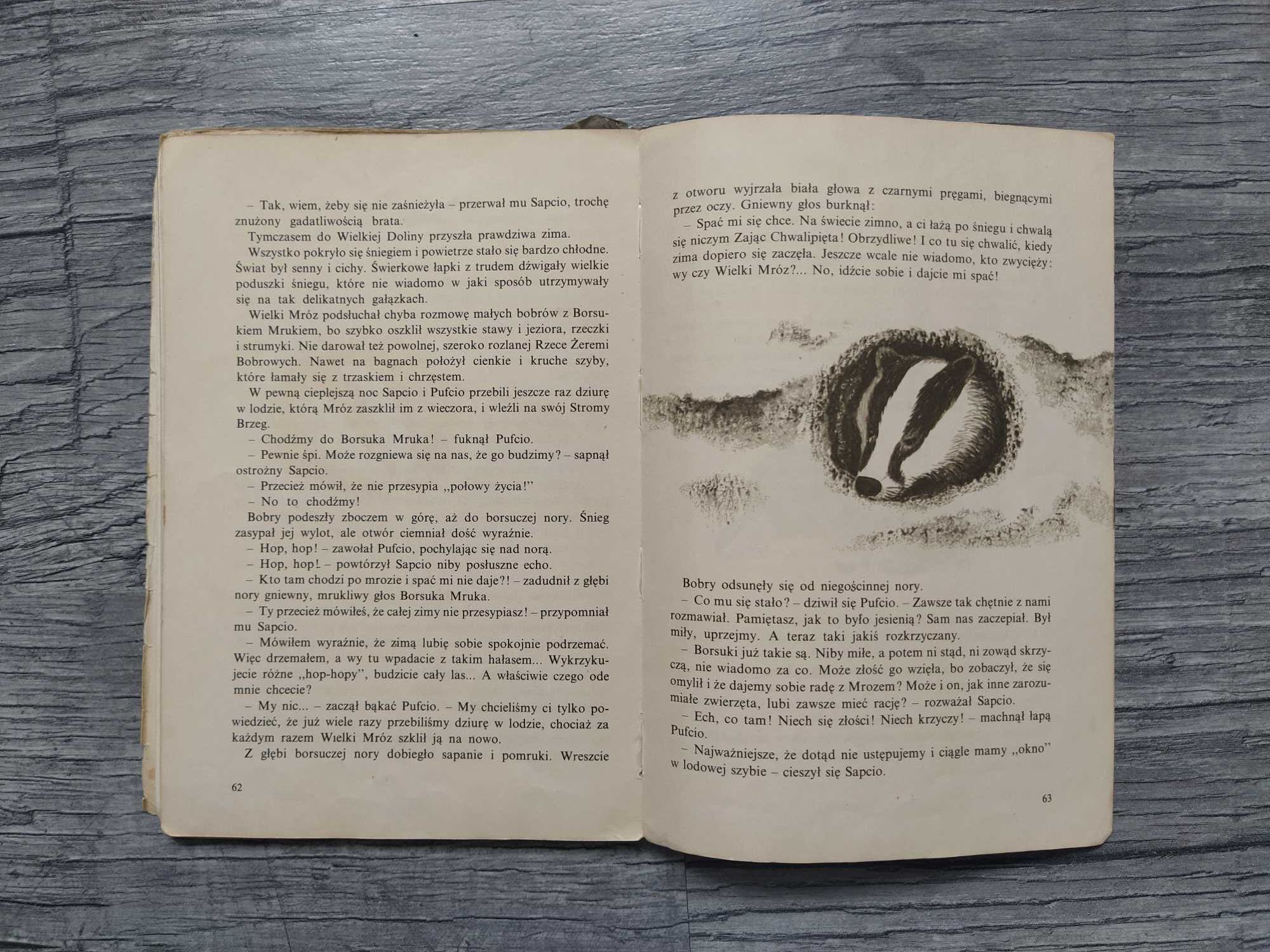 Poznajemy Sapcia i Pufcia Maria Kowalewska 1965 rok