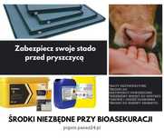Preparat do dezynfekcji, na pryszczycę, ASF Virkon, maty dezynfekcyjne