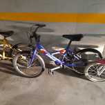 3 bicicletas por 30 euros