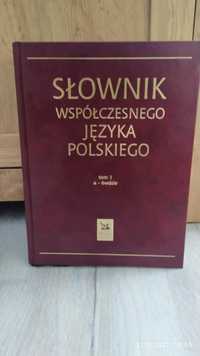 Słownik Współczesnego języka Polskiego (2tomy)