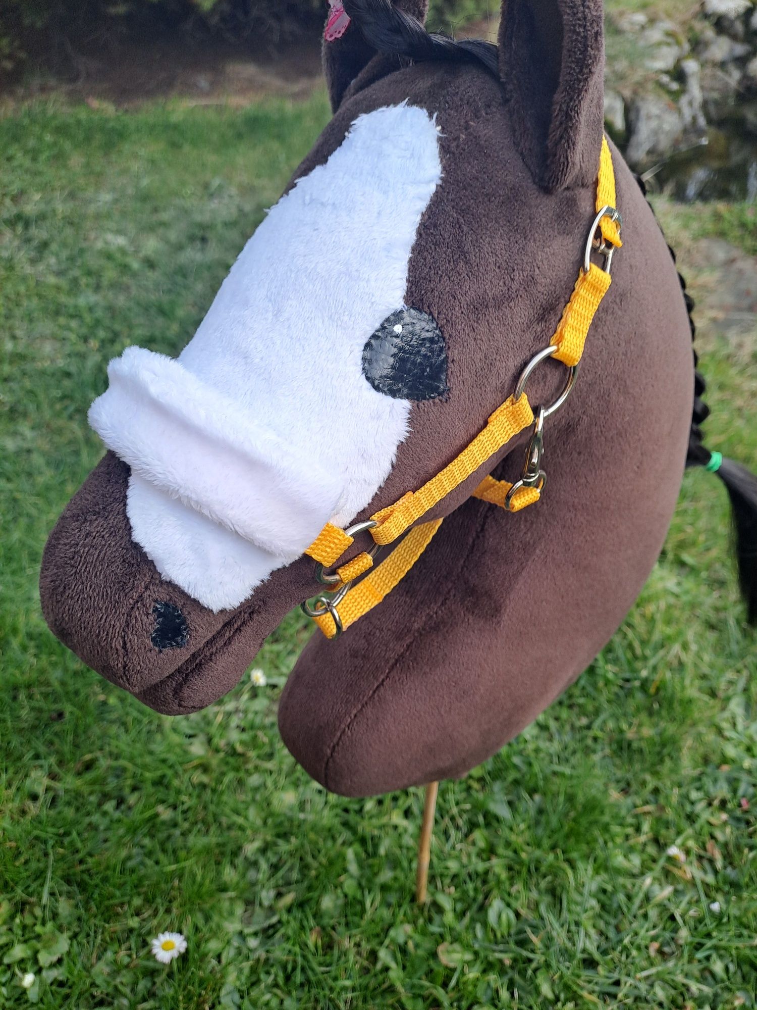 Hobby horse Gniady