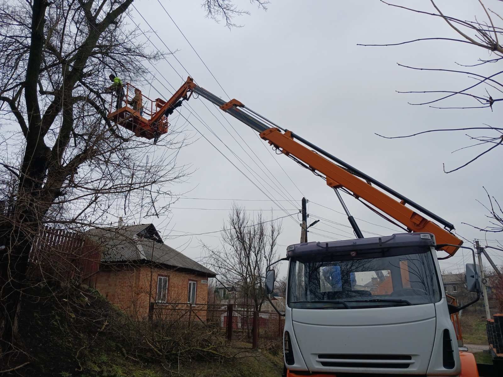 Обрізка дерев, спилити дерево, кронація Сміла.