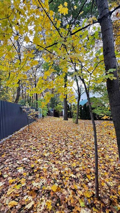 Продаж будинку в Бучі поруч з Бучанским парком