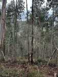 Terreno  para venda