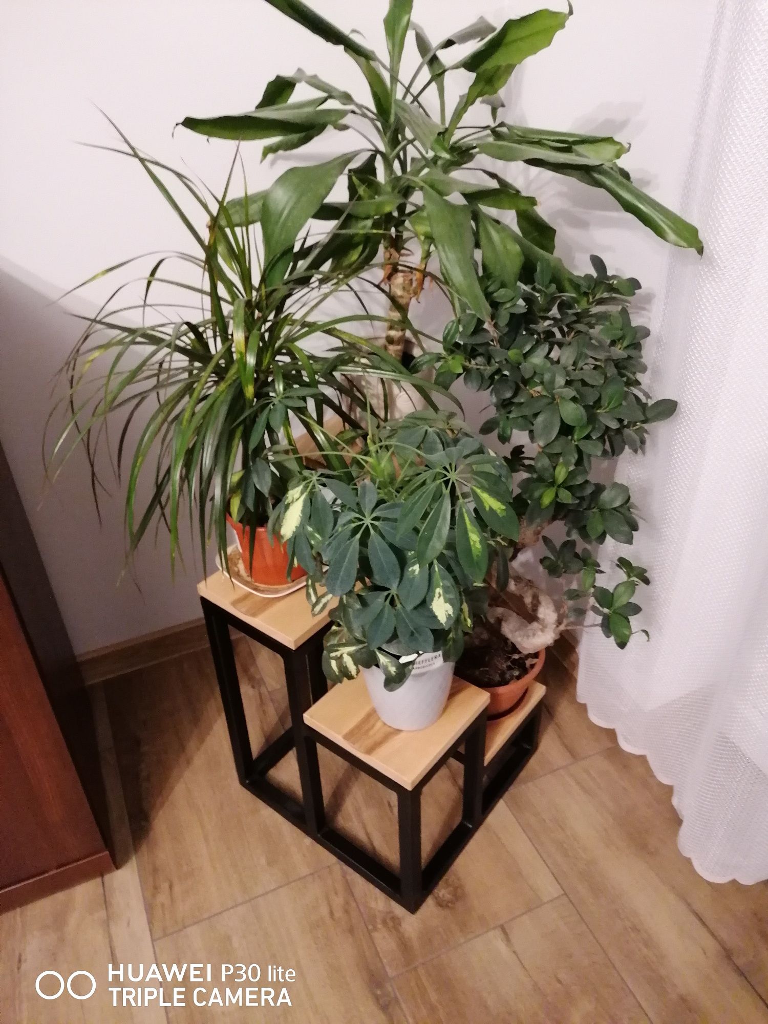 Kwietnik loftowy