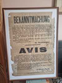 Oryginalny plakat z 1915 r.gratka dla hodowców gołebi