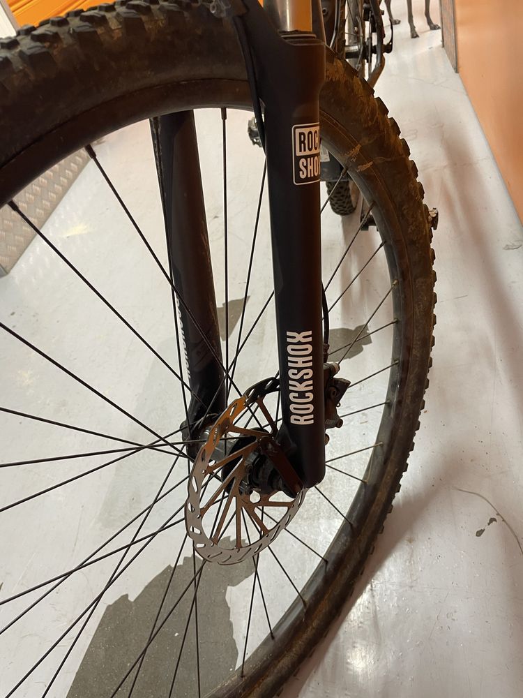 specialized rockhopper pro 29