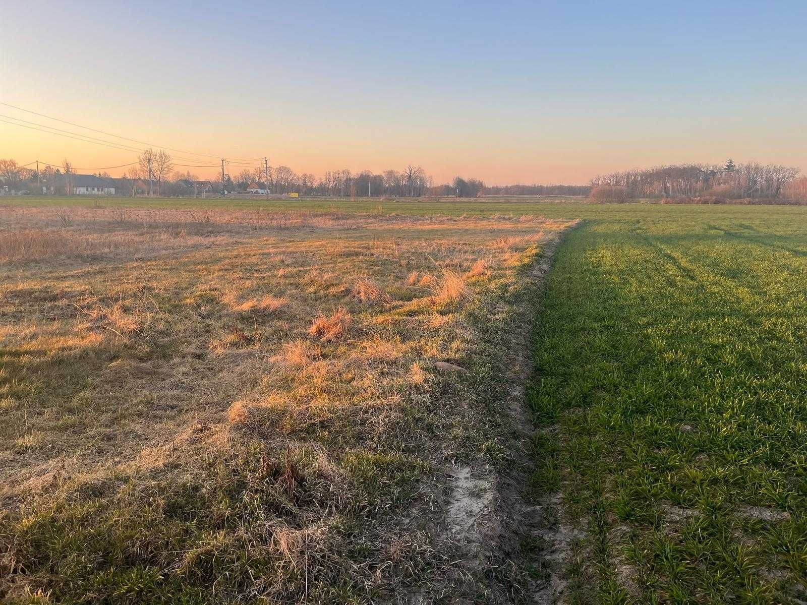Działka rolno- budowlana Czatkowice